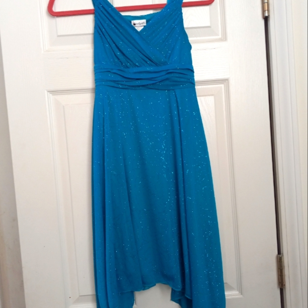 Emily West A Line Blue Rose Dress